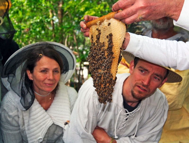 Bei einem Imkerkurs in Gladbeck lernen Interessierte, wie Bienen wesensgerecht gehalten werden und was bei einer Bienenhaltung im eigenen Garten zu beachten ist.
