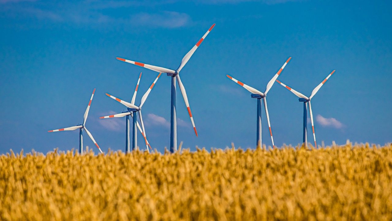 Wegducken gilt nicht mehr – Klimaschutz hat jetzt Verfassungsrang