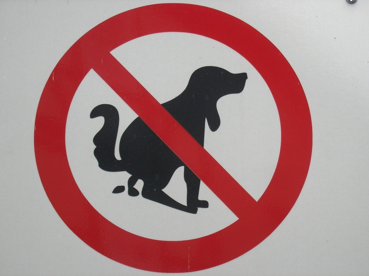 Stadt setzt auf Kontrolle und Aufklärung von  Hundehalter